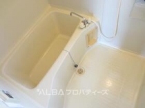 https://image.rentersnet.jp/4e60a265-69c6-42dd-b6ac-c6a2047d8f64_property_picture_3220_large.jpg